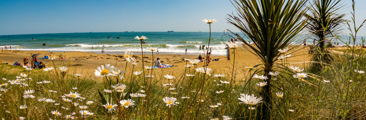 Beach on the Isle of Wight 